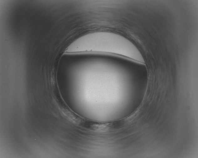 X0000074310170200608251014