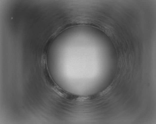 X0000074310172200608251014