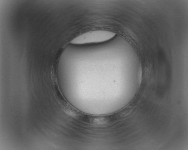 X0000074310173200608251014