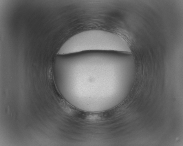X0000074310177200608251014