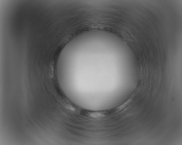 X0000074310183200608251014