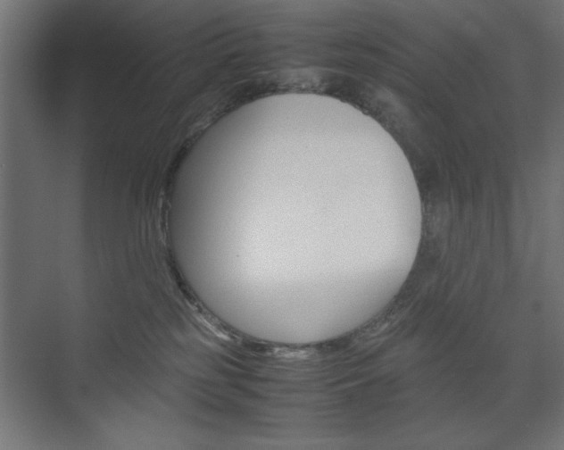 X0000074310185200608251014