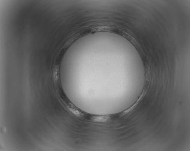X0000074310191200608251014