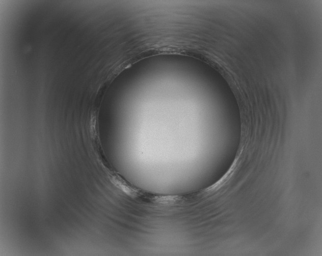 X0000074310192200608251014