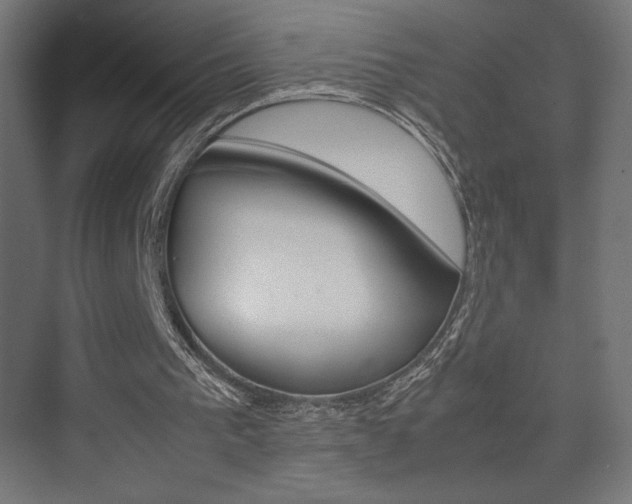X0000074310193200608251013