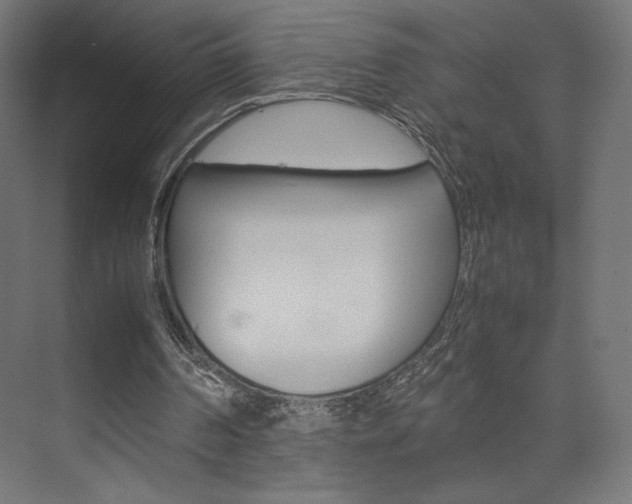X0000074310194200608251013