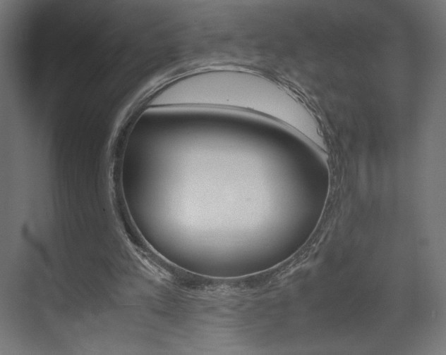 X0000074310197200608251013