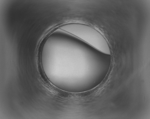 X0000074310199200608251013