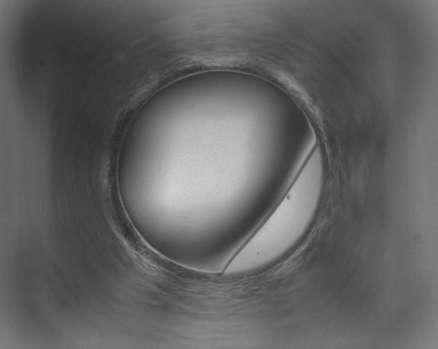 X0000074310201200608251013