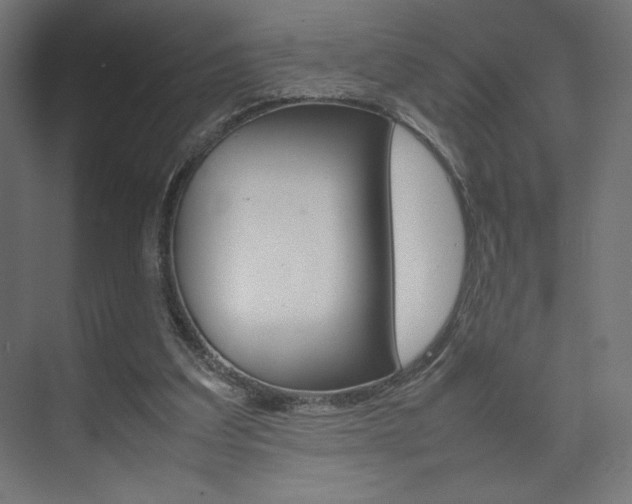 X0000074310203200608251013