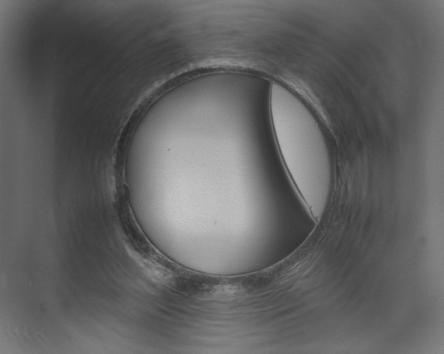 X0000074310204200608251013