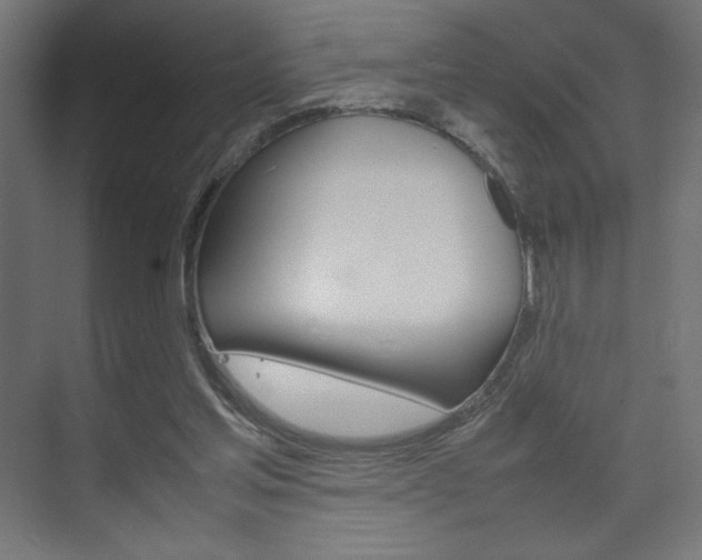 X0000074310205200608251013