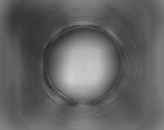 X0000074310207200608251013