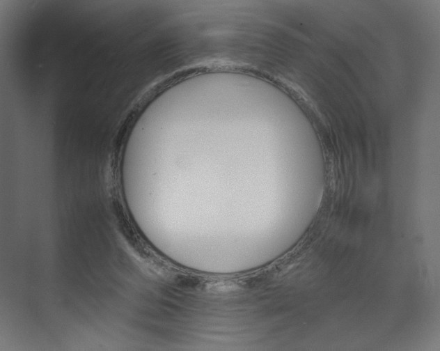 X0000074310208200608251013