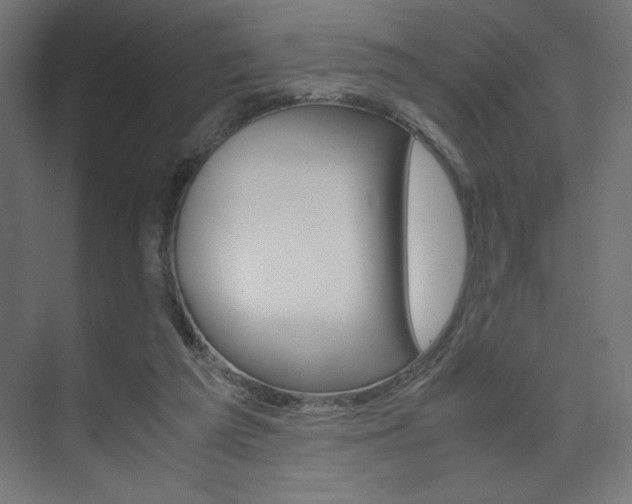 X0000074310209200608251013