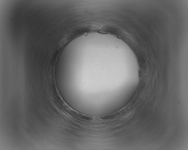 X0000074310215200608251013