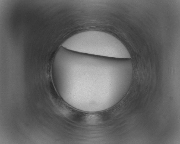 X0000074310218200608251013