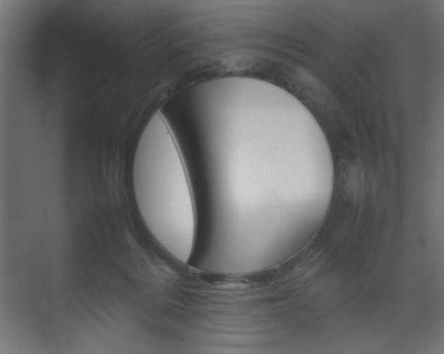 X0000074310220200608251013