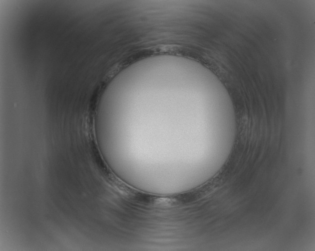 X0000074310222200608251013