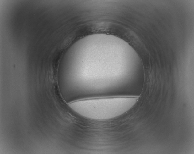 X0000074310224200608251013