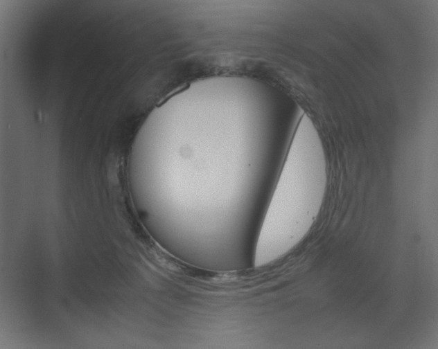 X0000074310225200608251013