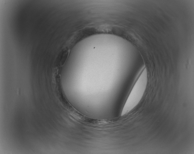 X0000074310229200608251013