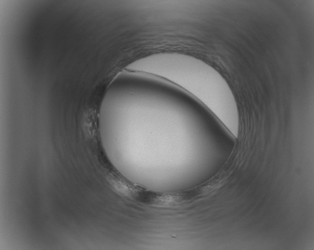 X0000074310237200608251013