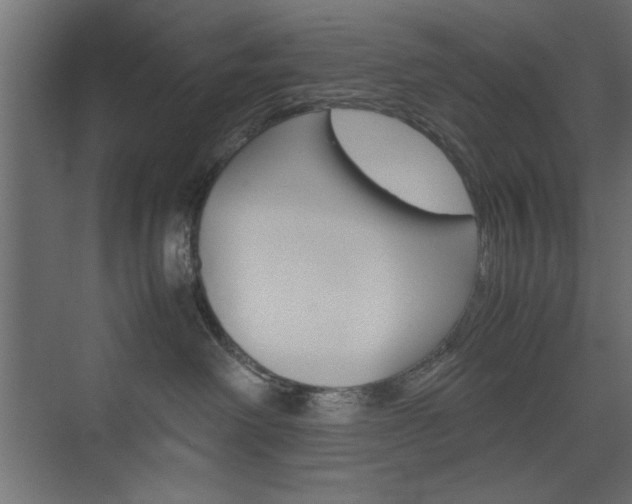 X0000074310238200608251013