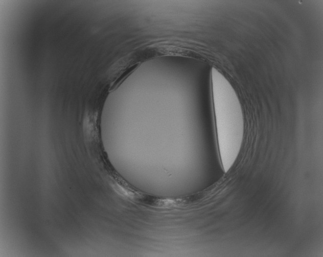 X0000074310239200608251013