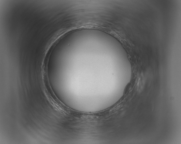 X0000074310242200608251012