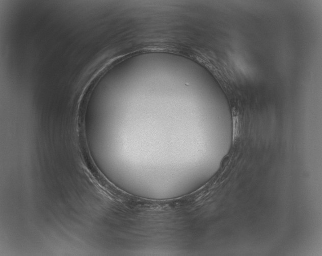 X0000074310243200608251012