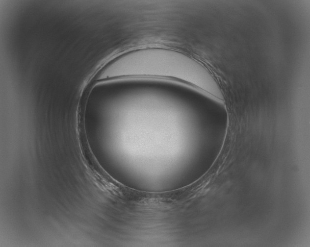 X0000074310244200608251012