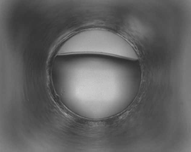 X0000074310245200608251012