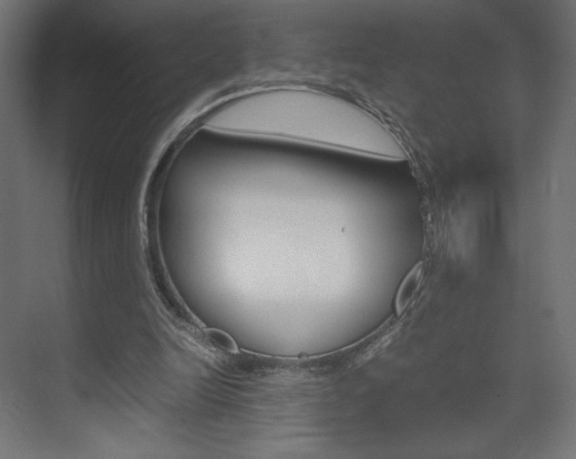 X0000074310246200608251012