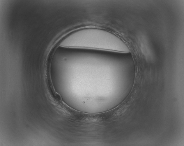 X0000074310247200608251012