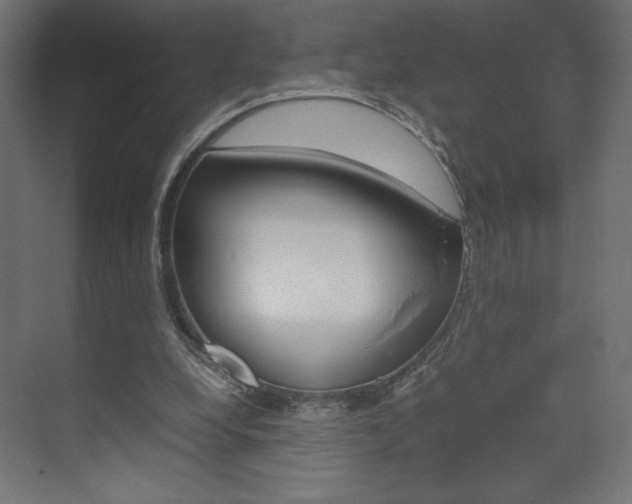 X0000074310248200608251012