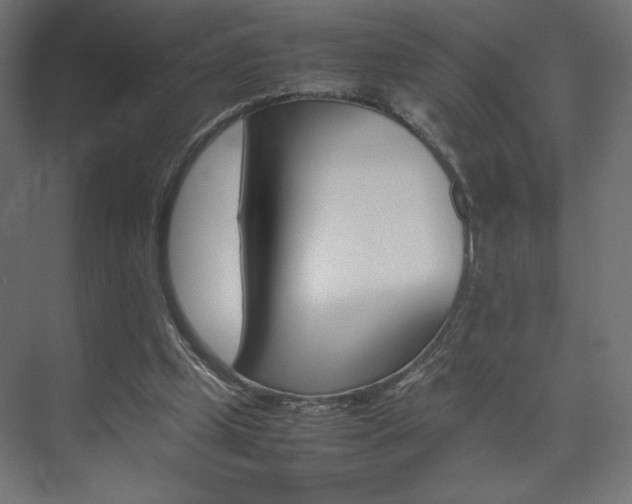 X0000074310249200608251012