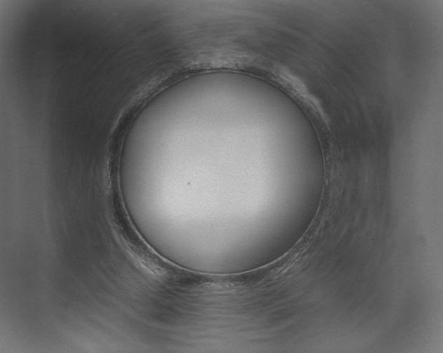 X0000074310250200608251012