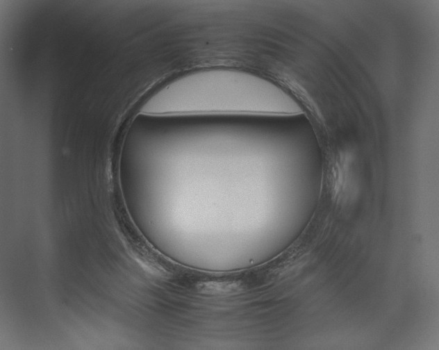 X0000074310251200608251012