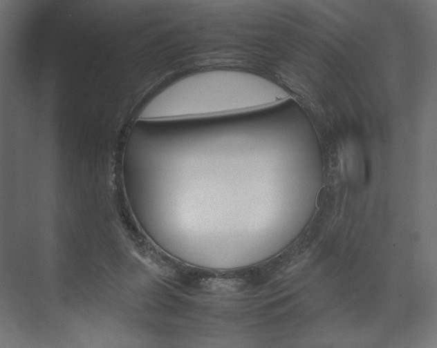 X0000074310255200608251012