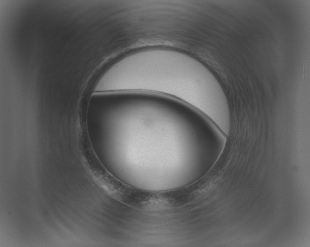 X0000074310256200608251012