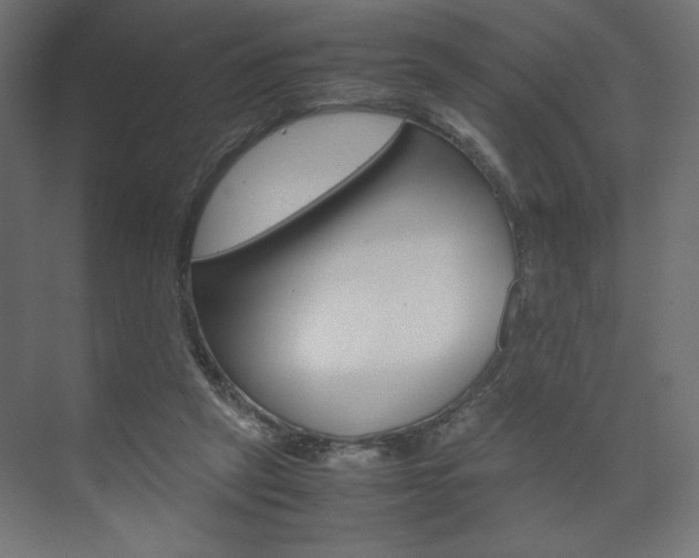 X0000074310257200608251012