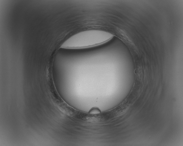X0000074310259200608251012