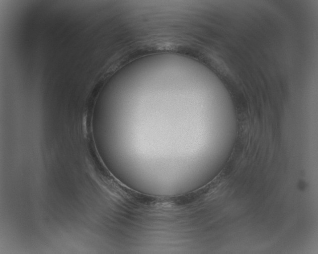 X0000074310262200608251012