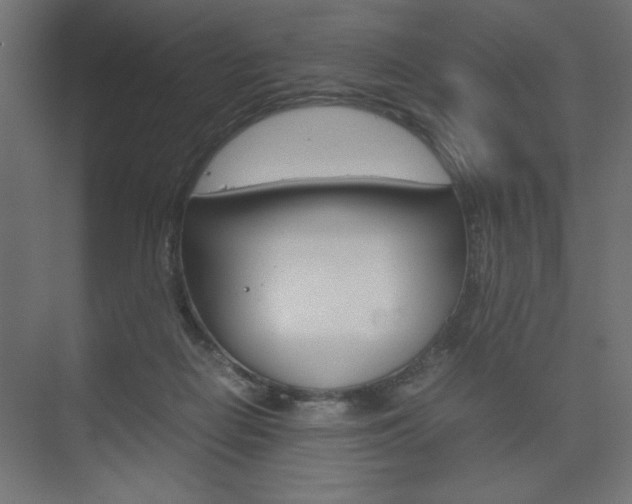 X0000074310266200608251012
