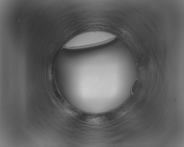 X0000074310267200608251012