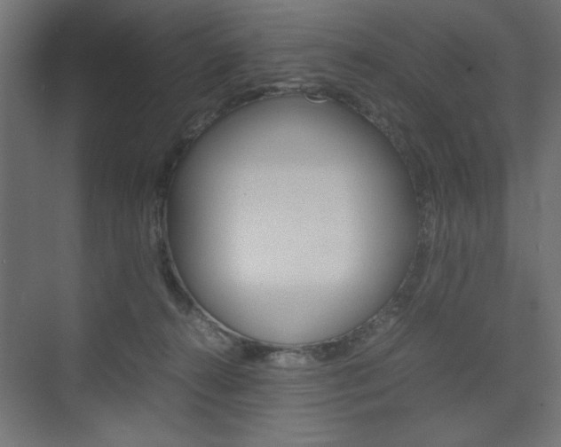 X0000074310272200608251012