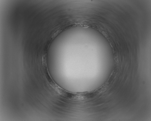 X0000074310276200608251012