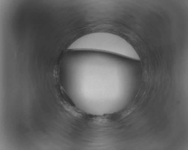 X0000074310284200608251012