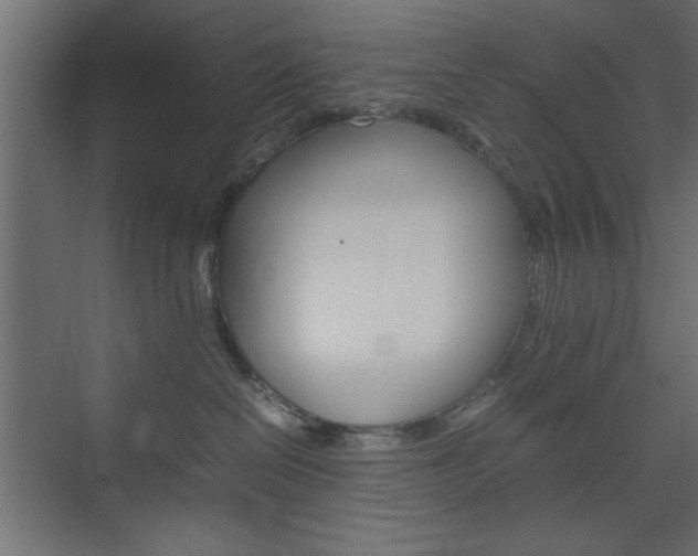 X0000074310286200608251013